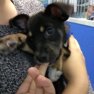 Meet your Posher, Marcus